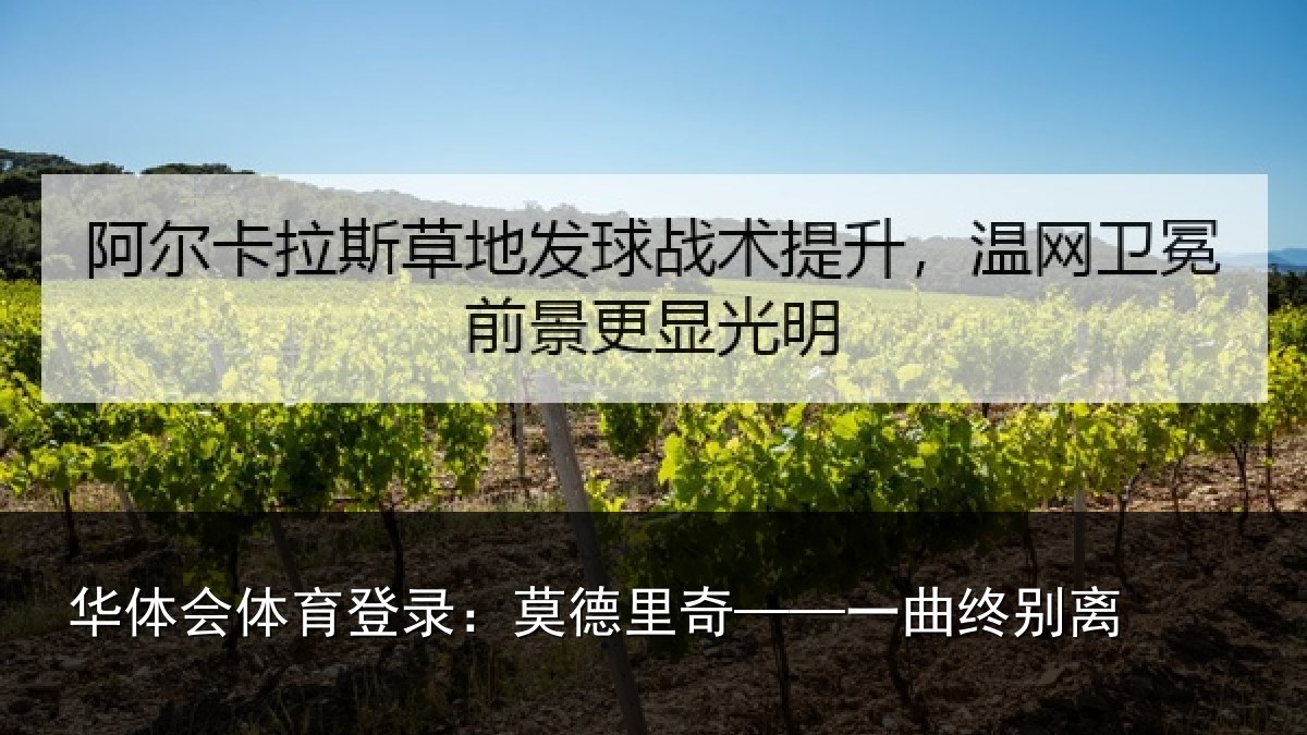 华体会体育登录:莫德里奇——一曲终别离