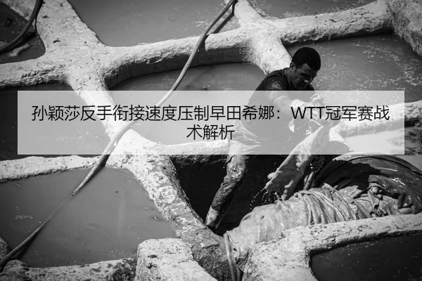 孙颖莎反手衔接速度压制早田希娜：WTT冠军赛战术解析
