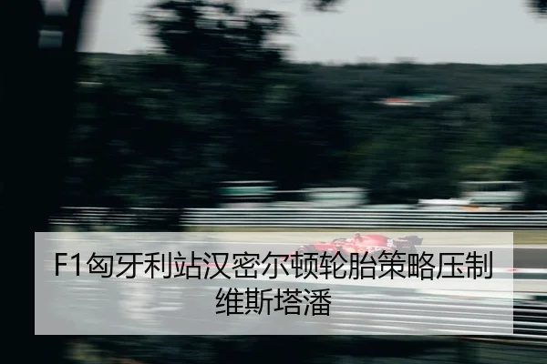 xiong-ya-li-zhan-han-mi-er-dun-lun-tai-ce-lve-ya-zhi-wei-si-ta-pan-2-358.jpg
