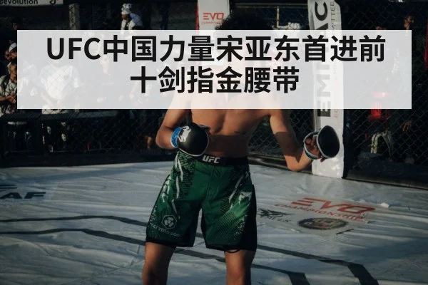 UFC中国力量宋亚东首进前十剑指金腰带