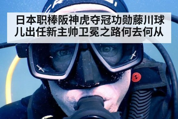 日本职棒阪神虎夺冠功勋藤川球儿出任新主帅卫冕之路何去何从